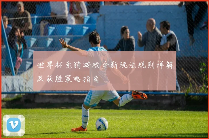 世界杯竞猜游戏全新玩法规则详解及获胜策略指南