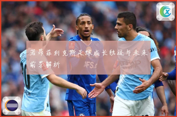若昂菲利克斯足球成长轨迹与未来前景解析