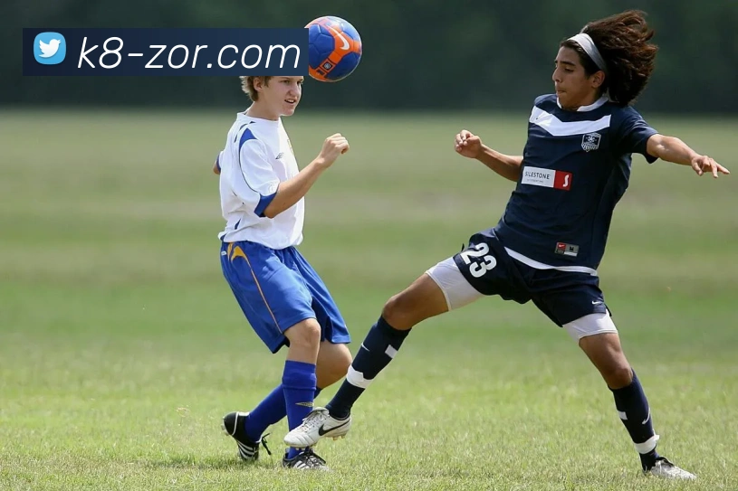 凯发娱乐平台展示图